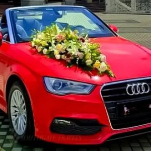 Audi convertible car rental in goa