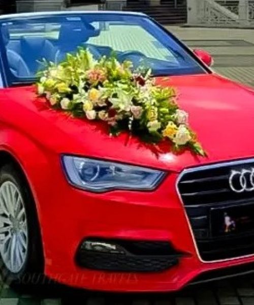 Audi convertible car rental in goa